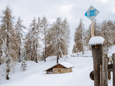 Zwischen den Almhütten von Bolentina