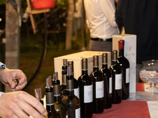 On the table, there are many bottles of Teroldego Rotaliano, a ruby-red wine considered the prince of Trentino wines, along with other white and rosé wines. You can see the hand of the producer taking a bottle to pour it into a participant's glass at the event.
