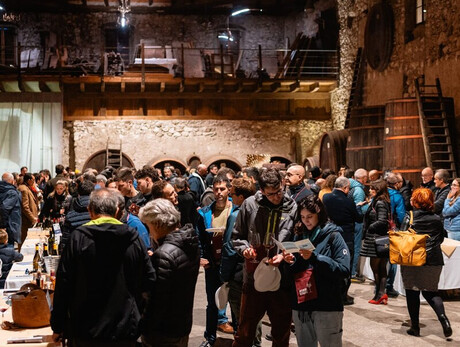 Inside a historic winery with a very high ceiling and exposed wooden beams, a wine tasting event is taking place. On the sides of the room, there are large wooden barrels, and nearby are tasting stations managed by local producers and other winemakers invited to the event. A large group of people is enjoying the experience, chatting with the producers and sipping wine.