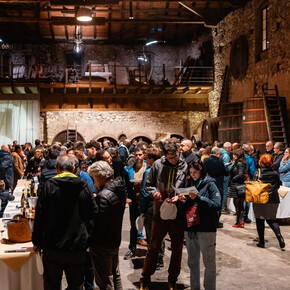 Inside a historic winery with a very high ceiling and exposed wooden beams, a wine tasting event is taking place. On the sides of the room, there are large wooden barrels, and nearby are tasting stations managed by local producers and other winemakers invited to the event. A large group of people is enjoying the experience, chatting with the producers and sipping wine.