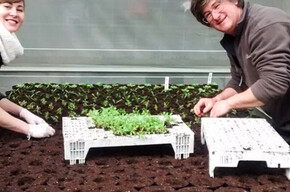 Laboratori 2026 Floricoltura Piazzera