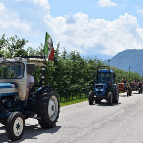 Auf dem Bild sind viele Traktoren aus vergangenen Zeiten in einer Reihe zu sehen. Sie wurden wahrscheinlich von den Großeltern der Leute benutzt, die sie jetzt stolz führen, um sie den Menschen entlang der Straße zu zeigen. Sie befinden sich auf einer kleinen Landstraße, umgeben von Apfelplantagen, Bauernhöfen (Masi) und Bergen.