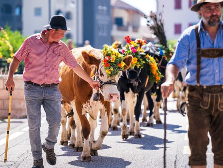 ORME Il Festival dei Sentieri