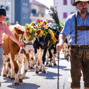 ORME Il Festival dei Sentieri