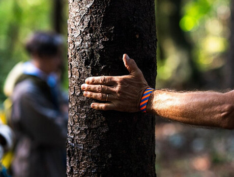 Primo piano della mano di una persona che tocca la corteccia di un albero, in un gesto che esprime connessione con la natura, tipico del forest bathing. Sullo sfondo, altre persone del gruppo sono visibili in modo sfocato, all'interno di una foresta.