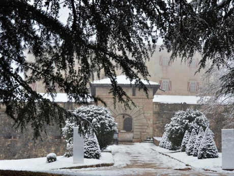 Visita guidata a Castel Thun