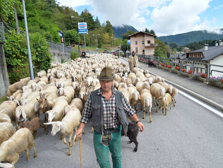Festa della Transumanza 