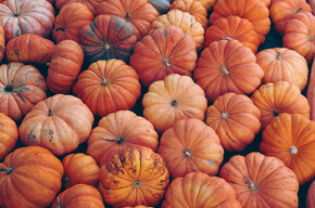 Pumpkins' Festival