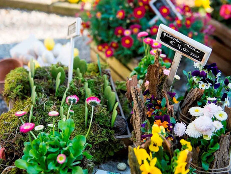 San Marco flower market