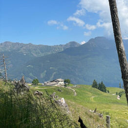 I lunedì del formaggio