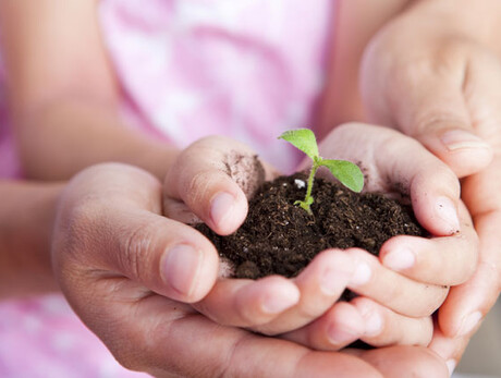 Live Tesino: THE CHILDREN’S GARDEN 