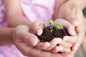 Live Tesino: THE CHILDREN’S GARDEN 