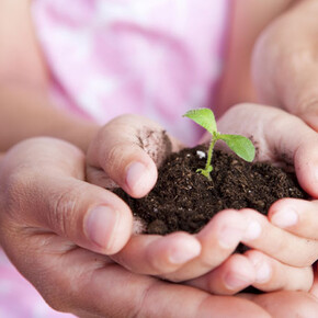 Live Tesino: THE CHILDREN’S GARDEN 