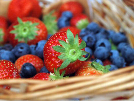 Live Tesino: Guided tour with tasting