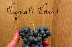  Discovering artisanal mountain wine 