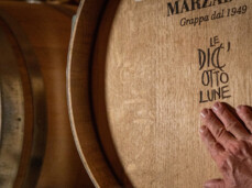  Degustazione "I cinque sensi" 