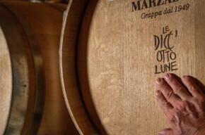  "Five senses" tasting 