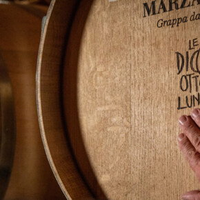  "Five senses" tasting 