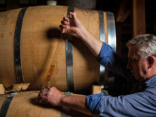  Degustazione "I cinque sensi" 