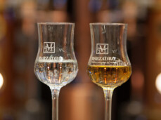  Degustazione "I cinque sensi" 