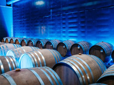  Die Kunst des Weinmachens 