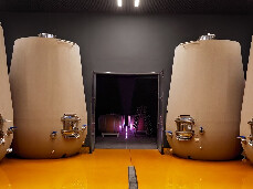  The art of making wine 