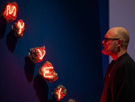  Ritratti d'albero - Memorie del sottosuolo 