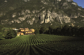  Visit and wine tasting at San Leonardo Estate 