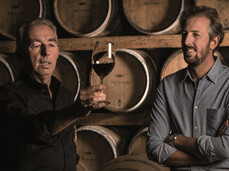  Visit and wine tasting at San Leonardo Estate 