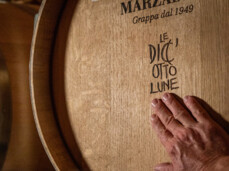  "Five senses" tasting 