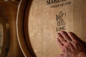  "Five senses" tasting 