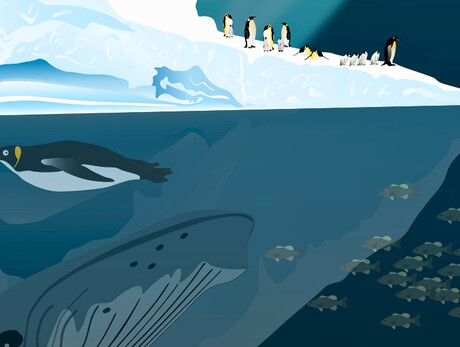  Festival dei Piccoli 