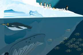  Festival dei Piccoli 