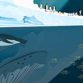  Festival dei Piccoli 