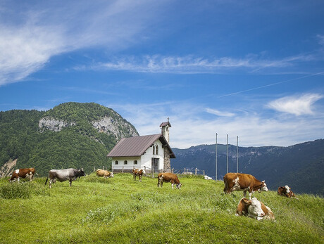  In Malga - Casaro per un giorno 