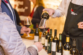  The excellent vineyard 