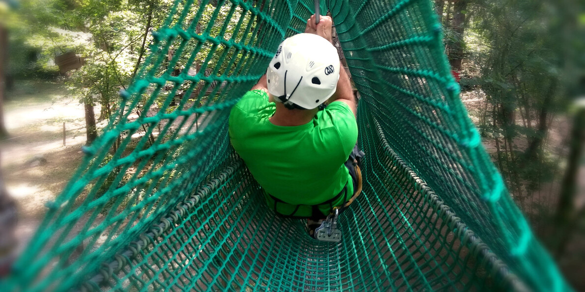 По лесу можно не только гулять