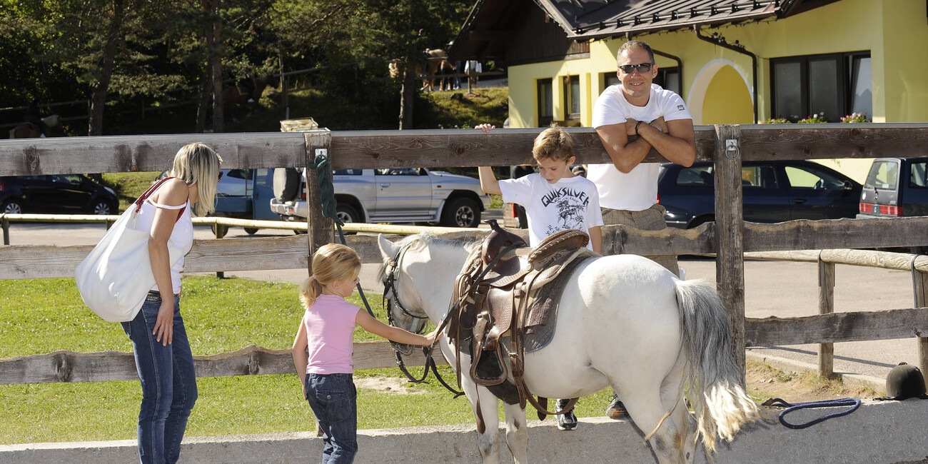 Andalo Riding Centre  #1