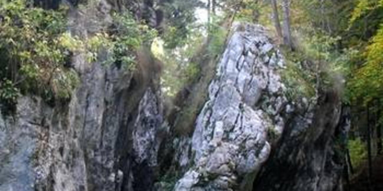 Palestra di roccia Prombis #1