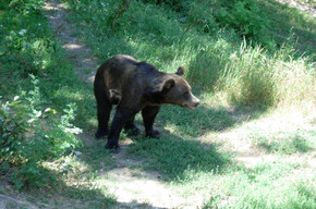 Parco Faunistico di Spormaggiore