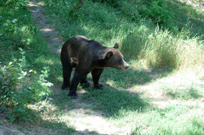 Parco Faunistico di Spormaggiore