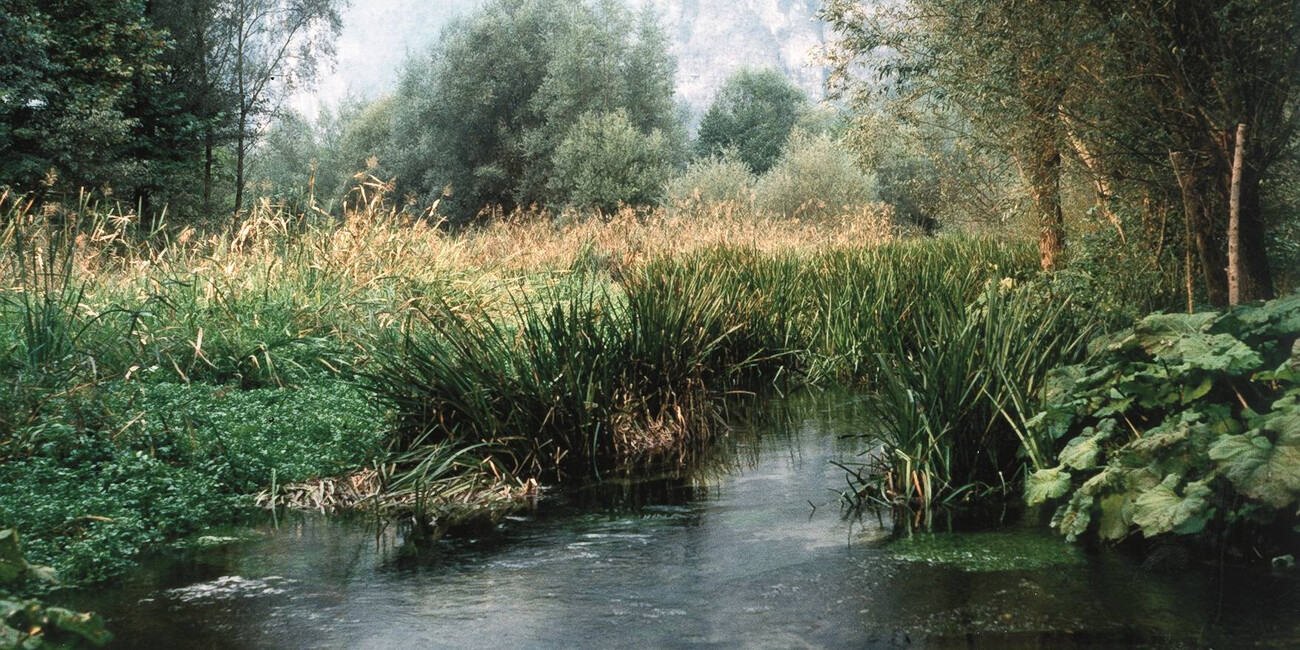 Biotopo di Fontanazzo #1