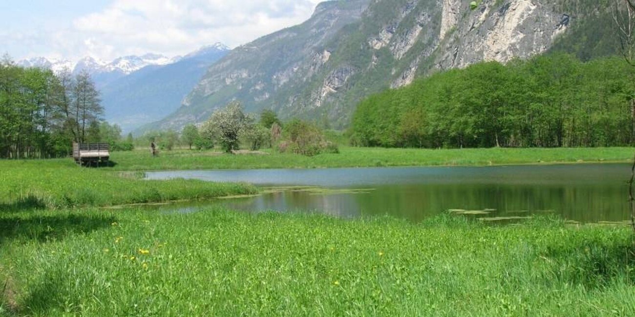 Das Biotop Fontanazzo #2