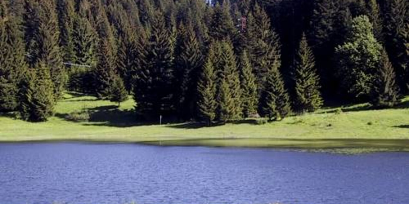 Biotopo di Malga Laghetto #2