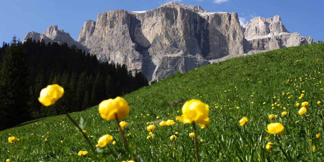 Dolomiti Orientali - Sella, Catinaccio, Sassolungo, Monzoni, Marmolada #1