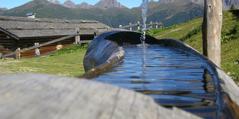  Ecomuseo del Vanoi  #3