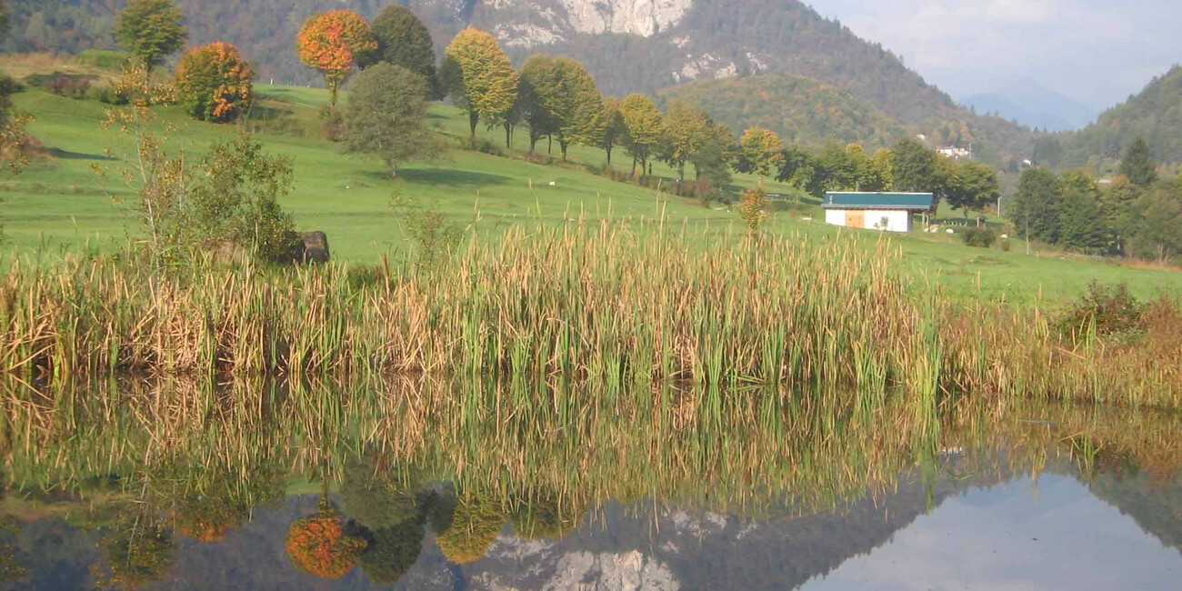 Das Ökomuseum des Tesino - der Heimat der fliegenden Händler #1