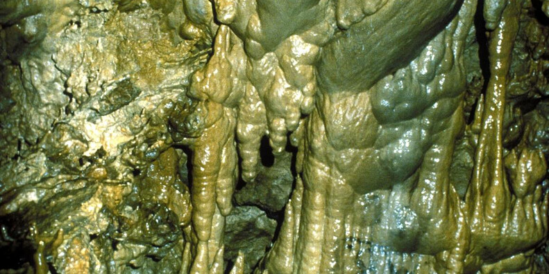 Grotte Castello Tesino  #2