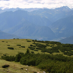 Monte Roen 