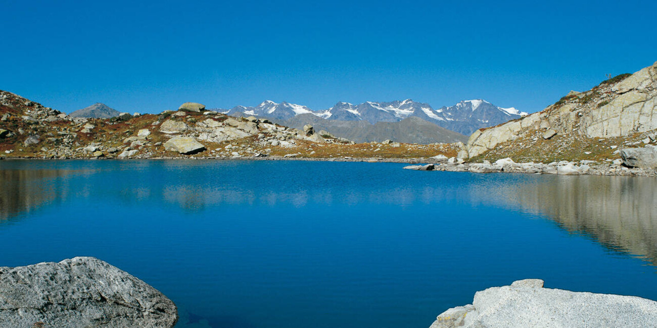 Ortles - Cevedale #1